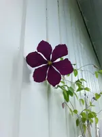 20130701_161757.webp