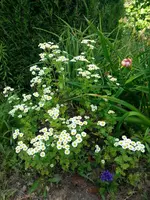 20130701_161814.webp