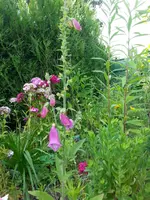 20130701_161839.webp