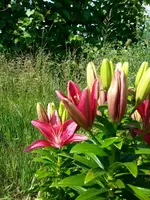 20130701_161940.webp