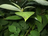 DSCF0402.webp
