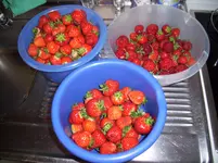100_1024.webp