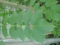 k-BILD0846.webp