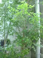 k-BILD0847.webp