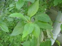 k-BILD0848.webp