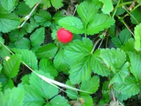 k-BILD0853.webp