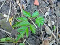 k-BILD0854.webp