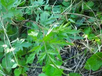 k-BILD0855.webp