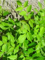 k-BILD0858.webp