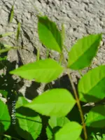 k-BILD0859.webp