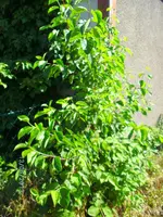 k-BILD0860.webp