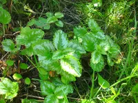k-BILD0864.webp