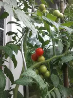 2013-07-04 17.41.30.webp