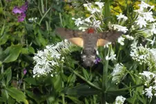 2013_0704Sommer0027.webp