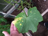 20130704_184024.webp