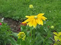 137.webp