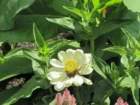 075.webp