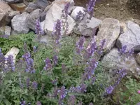Foto0869.webp