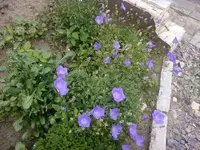Foto0834.webp