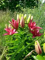20130701_161956.webp