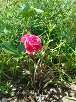 20130701_162019.webp