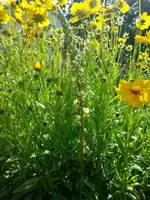20130701_162243.webp