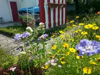 20130701_162254.webp