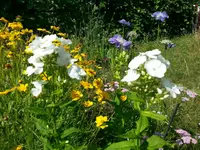 20130701_162320.webp