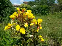 20130701_162338.webp