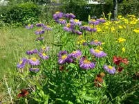 20130701_162342.webp