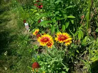 20130701_162358.webp