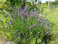 20130701_162428.webp