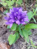 20130701_170213.webp