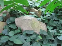 086.webp