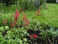 BILD1523.webp