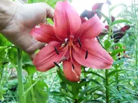 CIMG7168.webp