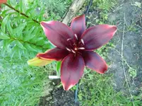 CIMG7161.webp
