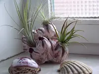 002.webp