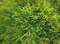 20130705_180645_resized.webp