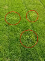 20130705_180634_resized.webp