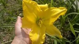 050720131762.webp