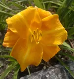050720131763.webp