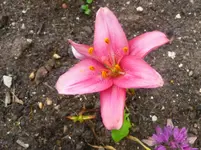 P1070260.webp