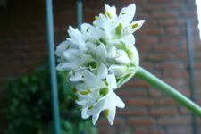 P1020480.webp