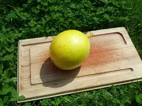IMG_20130706_114649-1293070113.webp