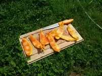 IMG_20130706_115217-1675845316.webp