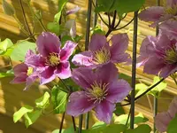 020.webp