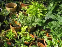 008_1024x768.webp