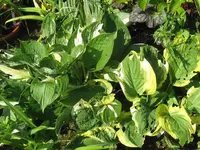 009_1024x768.webp