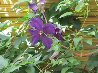 024.webp